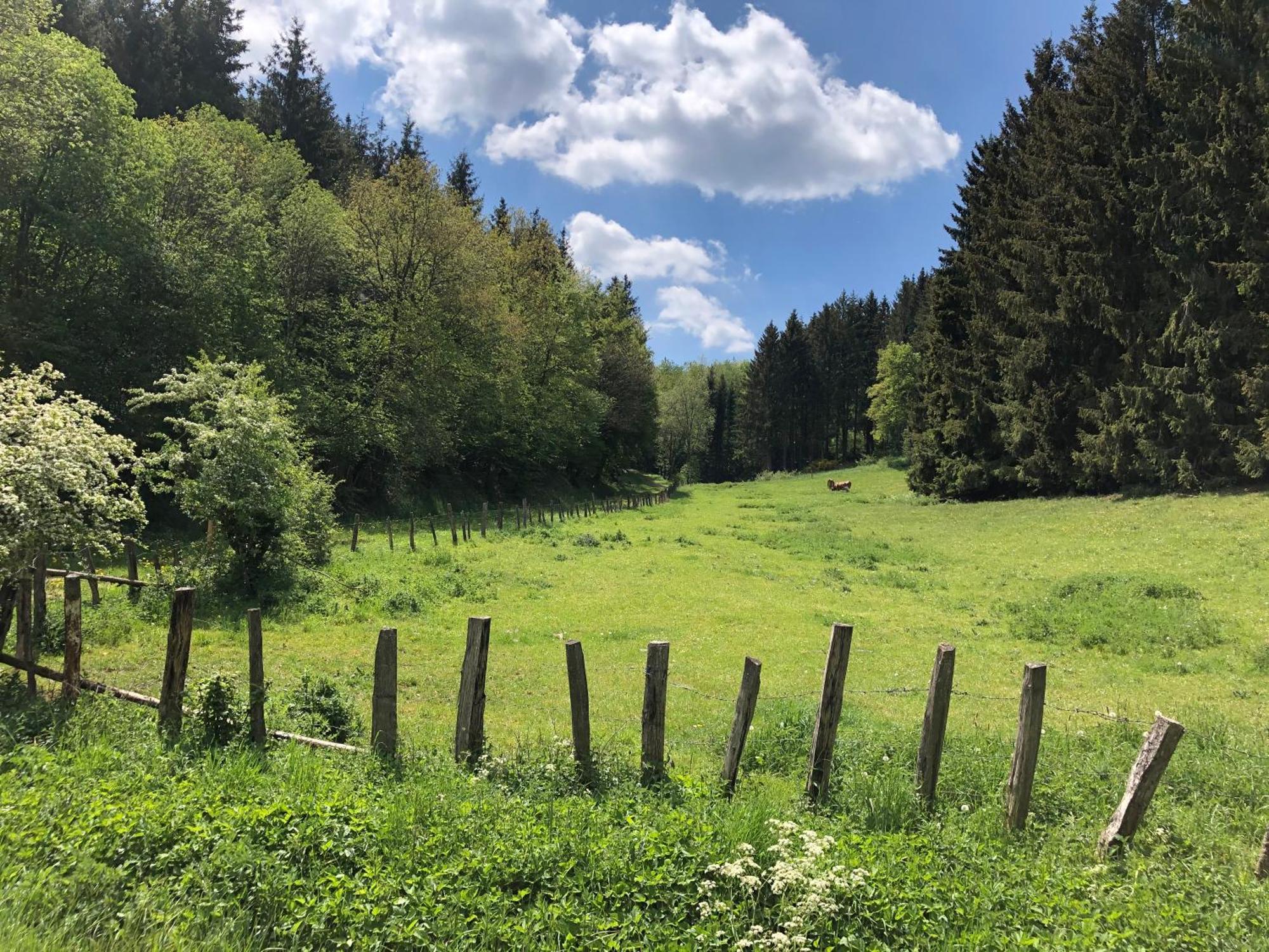 Holzhaus Onkel Fritz Mit Sauna Und Whirlwanne Esch  Exterior foto